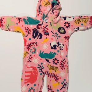 Patagonia bunting. 12 months